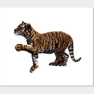 Amur tiger cub illustration Posters and Art